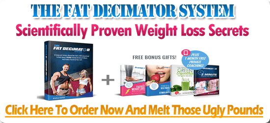 Fat Decimator System Review
